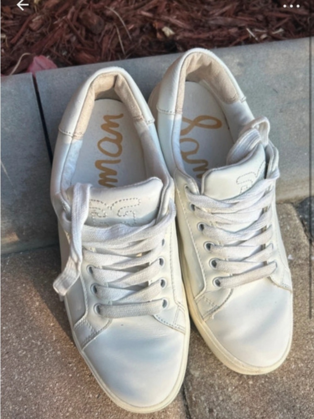 Sam Edelman Cream White Leather Low-Top Sneakers